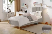 Postel Lola