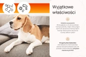 OA Sofa Protector 250ml